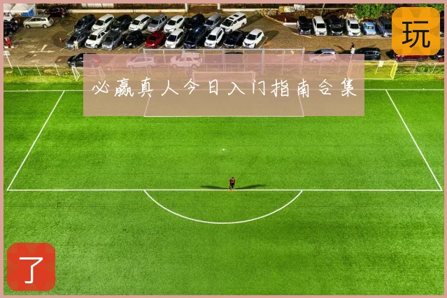 必赢真人今日入门指南合集