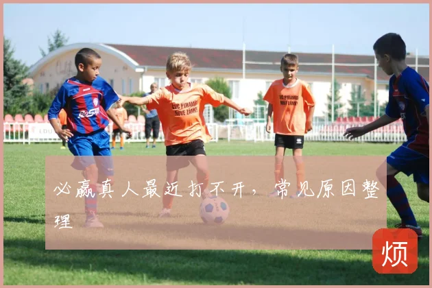 必赢真人最近打不开,常见原因整理